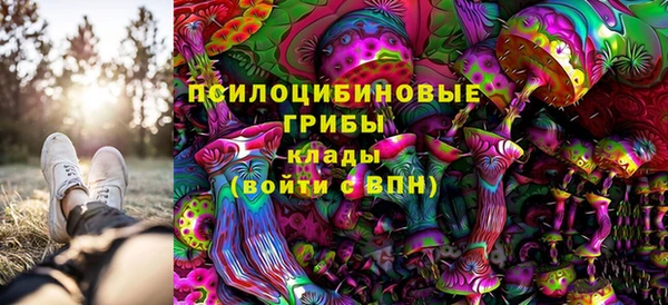 гидропоника Семилуки